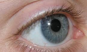 تشخیص آب سیاه در مراحل اولیه در آستانه اشرفیه | چه اقداماتی ضروری است؟