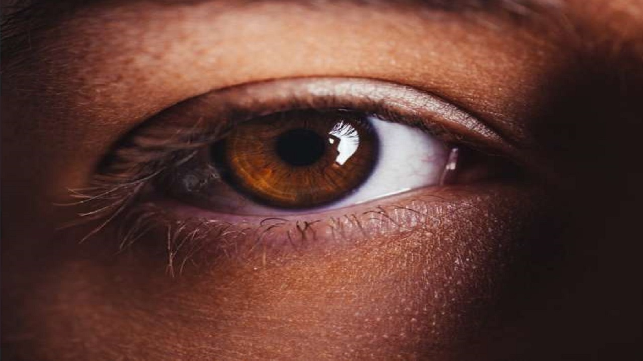 تشخیص آب سیاه در مراحل اولیه در آستانه اشرفیه | چه اقداماتی ضروری است؟